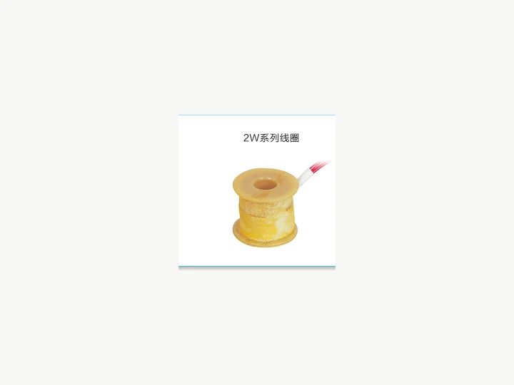2W Series Solenoid Valve Coil