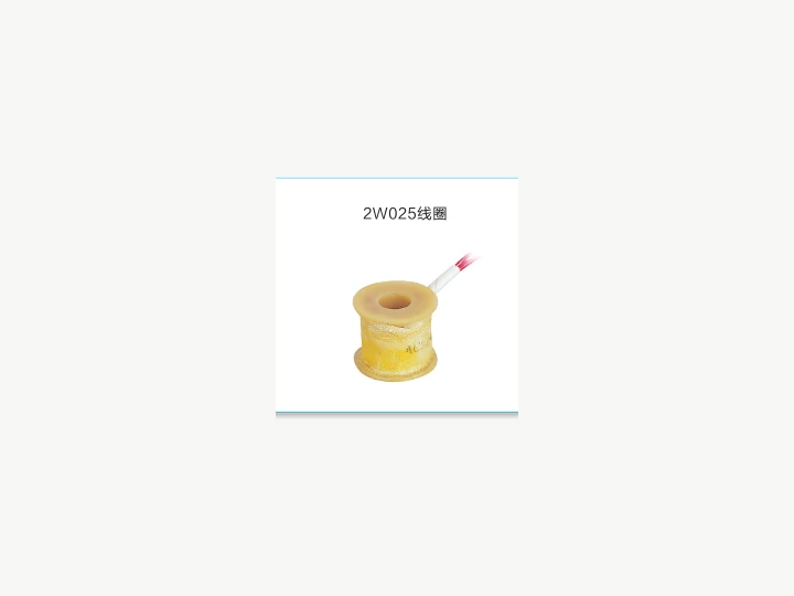 2W025 Series Solenoid Valve Coil