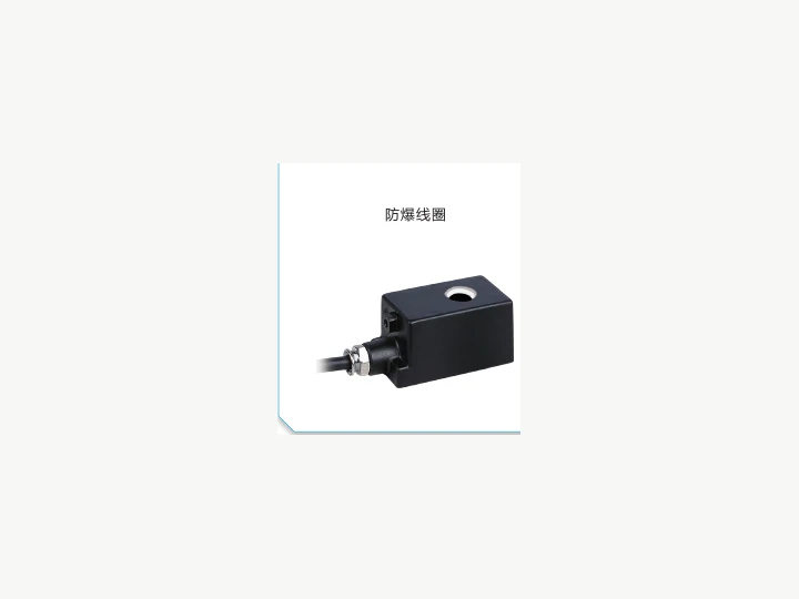 Explosion-proof Solenoid Valve Coil