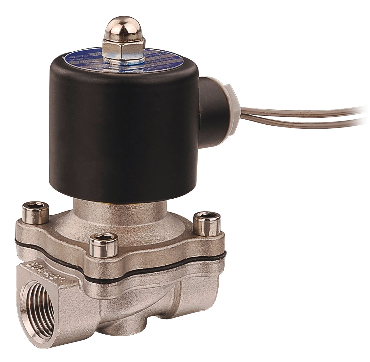 2WB160-15-E-S Stainless Steel Solenoid Valve: EPDM Diaphragm & IP65 Coil for AI Liquid Cooling and Industrial Water Systems